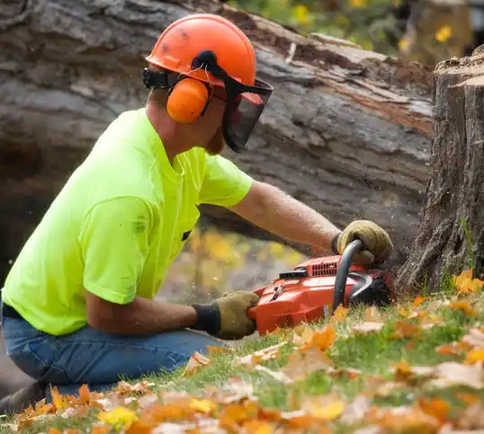 tree services Cole Camp